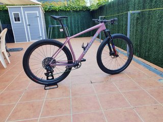 Bici Mtb Specialized Epic HT XX1