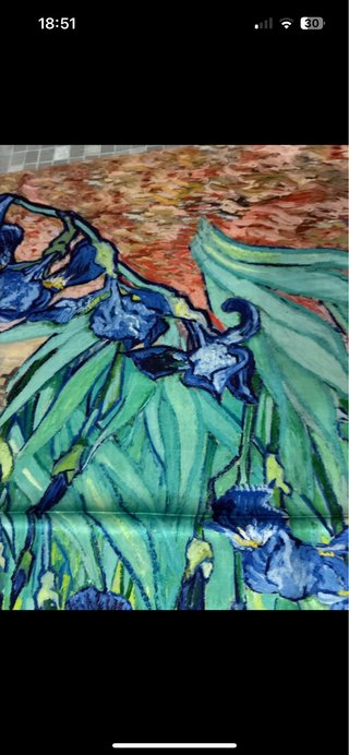 Foulard con stampa floreale