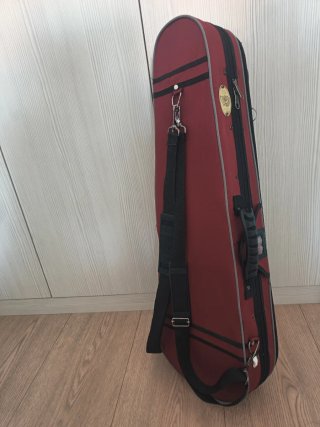 Violín Stentor Student II - 3/4 + funda y arco