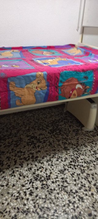 Alquilo habitación en Alaquas 350