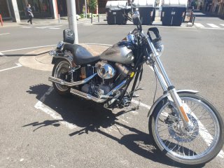 Harley Davidson Softail Standard