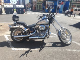 Harley Davidson Softail Standard