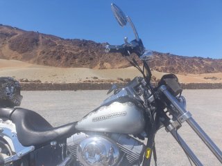 Harley Davidson Softail Standard