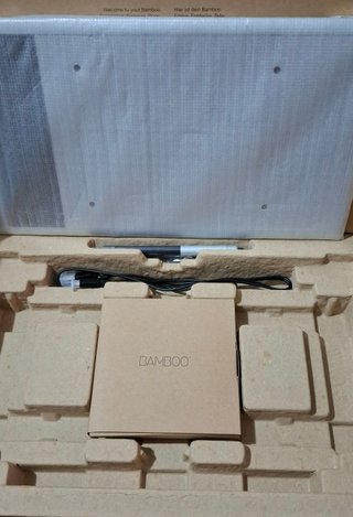 Tavoletta Grafica Wacom Bamboo Fun Pen & Touch