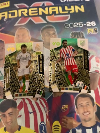 Cromos Panini Adrenalyn Momentum