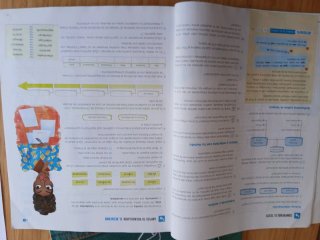 Lengua y literatura 3 ESO