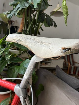 Bicicleta Vitus 992 Ovoid