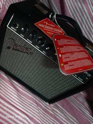 Amplificador Fender Champion 20