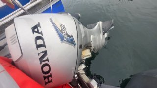 Narwhal 480