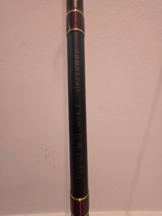 Caña de Pescar Shimano Beastmaster BX 240H