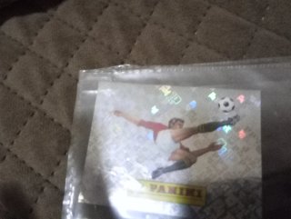 Figura Panini 00