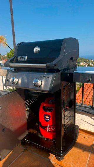 Barbacoa Weber Spirit E-215 Gas