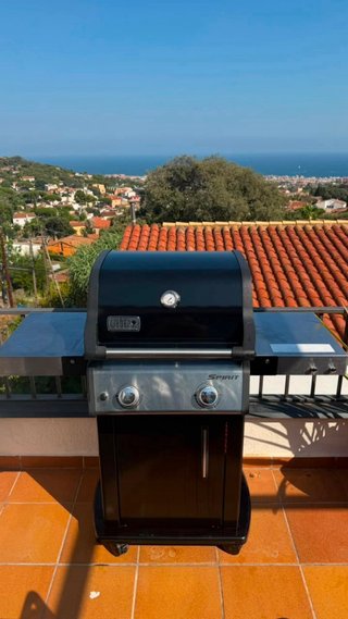 Barbacoa Weber Spirit E-215 Gas