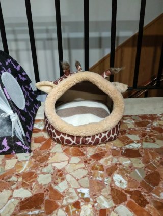 Cama/cueva para cobaya o conejo