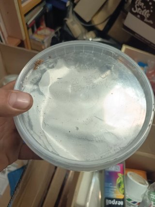 Saracoge Silicone Multiuso Trasparente