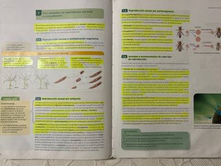 Libro Biología y Geología 1 Bachillerato