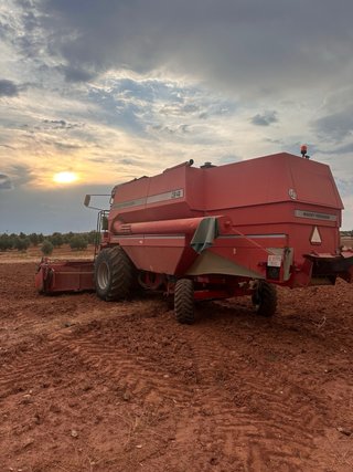 2 Cosechadoras Massey Ferguson