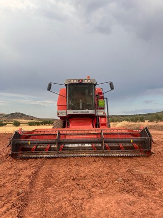 2 Cosechadoras Massey Ferguson