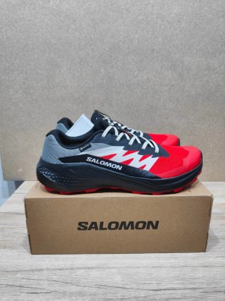 Salomon Alphaglide Gore-Tex 43 1/3