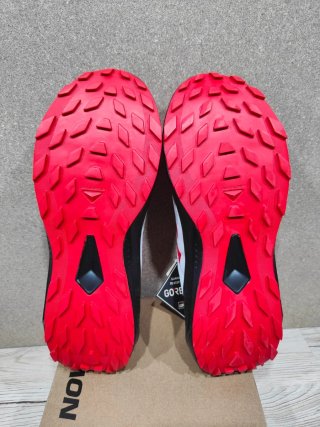 Salomon Alphaglide Gore-Tex 43 1/3