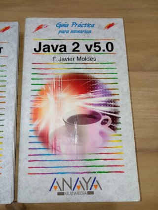 Visual Basic 6 Visual Basic .net Java 2 v5.0