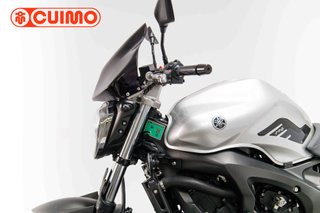YAMAHA FZ6 N