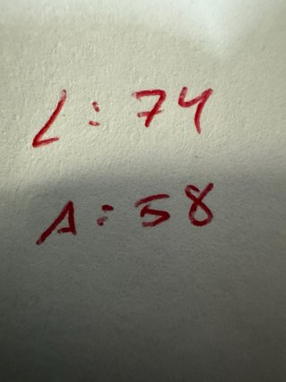Polo Ralph Lauren XL Rojo