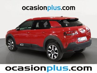 Citroen C4 Cactus BlueHDi 100 Shine 73 kW (100 CV)