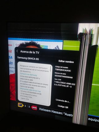 Samsung Q64CA 65 TV - Panel dañado