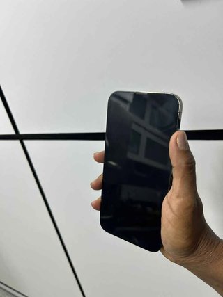 iPhone 13 Pro Max Verde