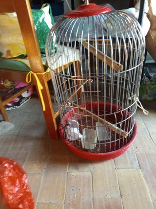 Jaula para loro redonda