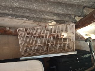 Jaula para loro redonda