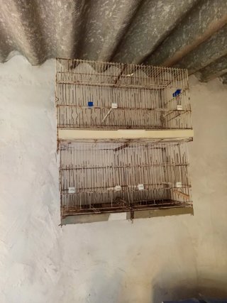 Jaula para loro redonda