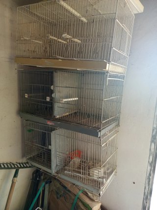 Jaula para loro redonda