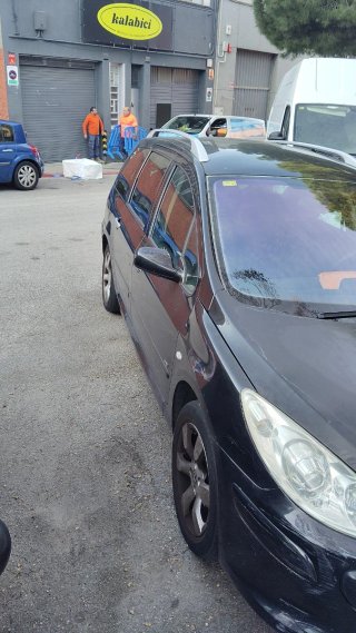 Peugeot 307 2005 pegatina B