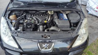 Peugeot 307 2005 pegatina B
