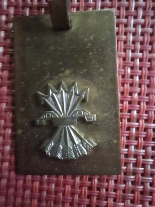 Medalla Falange Española Histórica