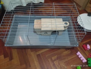 Jaula para cobaya con casa de madera
