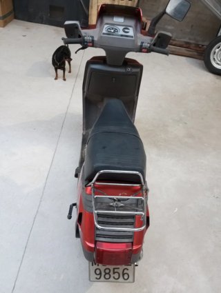 Suzuki Lido Scooter Roja