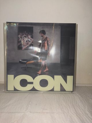 Vinile ICON Pop Rock Internazionale