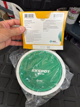 Ciotola verde + collare