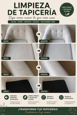 Limpieza de tapicería