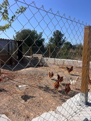Terreno en venta en Llucmajor Interior en Llucmajor
