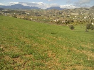 Terreno en venta en Álora
