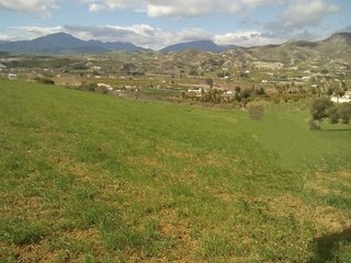 Terreno en venta en Álora