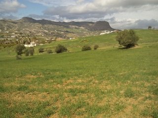 Terreno en venta en Álora