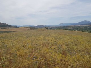 Terreno en venta en Álora