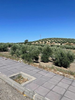 Terreno en venta en Torre del Campo