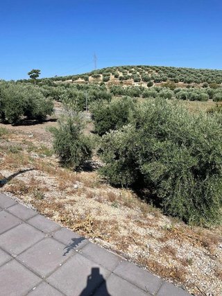 Terreno en venta en Torre del Campo