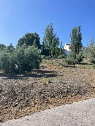 Terreno en venta en Torre del Campo